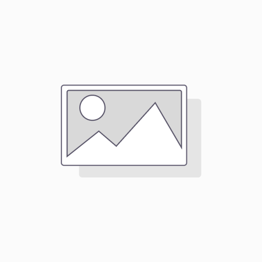BigBlueButton |